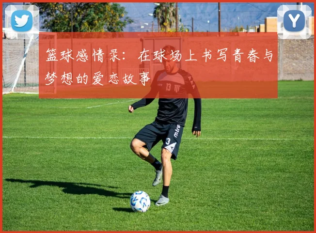 篮球感情录：在球场上书写青春与梦想的爱恋故事