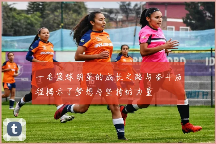 一名篮球明星的成长之路与奋斗历程揭示了梦想与坚持的力量