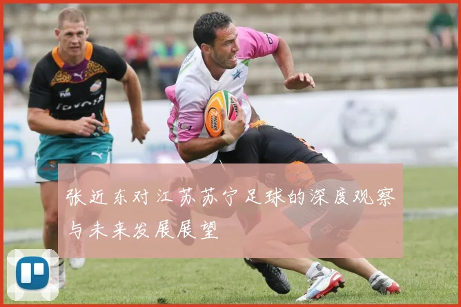 张近东对江苏苏宁足球的深度观察与未来发展展望