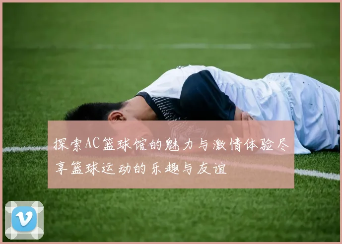 探索AC篮球馆的魅力与激情体验尽享篮球运动的乐趣与友谊