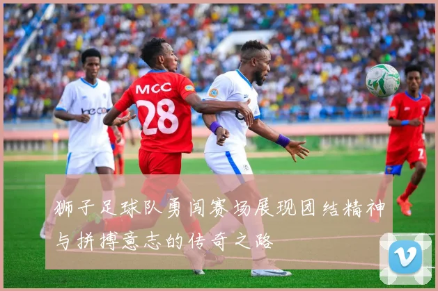 狮子足球队勇闯赛场展现团结精神与拼搏意志的传奇之路