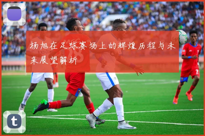 杨旭在足球赛场上的辉煌历程与未来展望解析